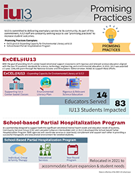 Promising Practices infographic