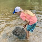 Girl examining pond life with net