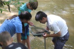 Students examining net in pond