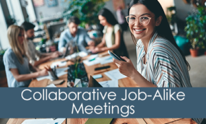 Collaborative Job-Alike Meetings - photo of group of professionals working together