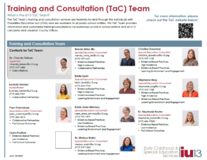 Training and Consultation Team Brochure and Information