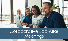 Collaborative Job-Alike Meetings - photo of group of professionals working together